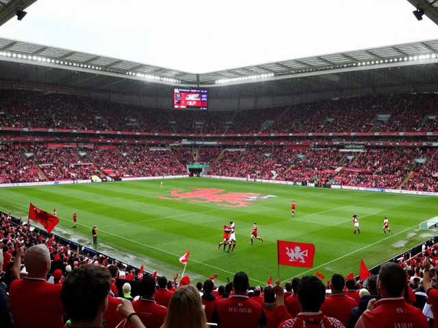 Where is rugby most popular? Top countries and why the game thrives there